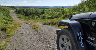 Logging road off 566 