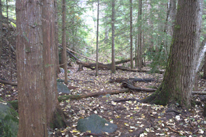 Rugged Trail to the Tain Wreck 