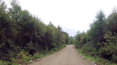 Forest Service Road in northern Ontario