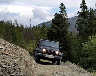 Trail to Poison Mountain overgrown 