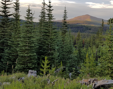 Trail to Poison Mountain 