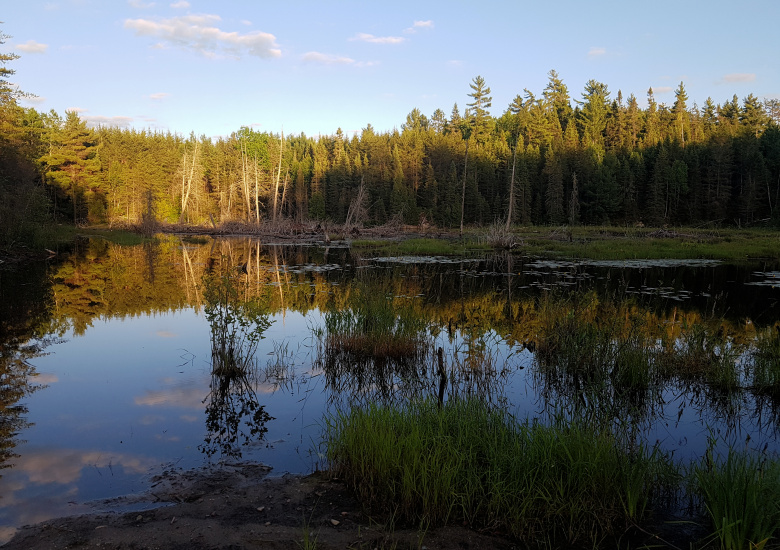 Evening at the flooded road 