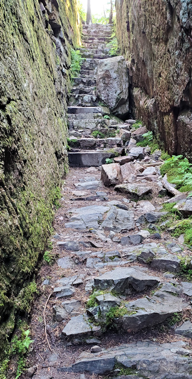 Stairs back to the trail head 