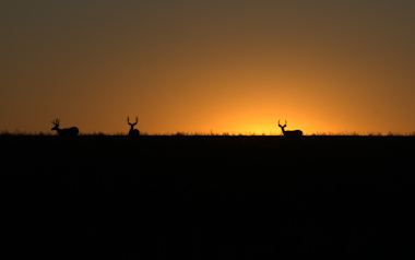 Grasslands National Park 