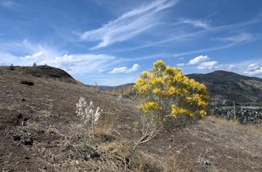 Red trail up 