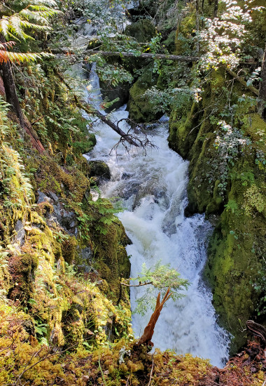 Hippie Lake Waterfall 