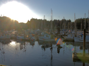 Ucluelet small boat harbour 