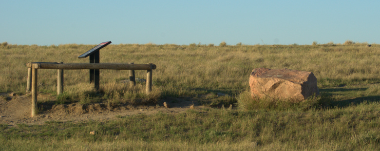 Bison rubbing stone 