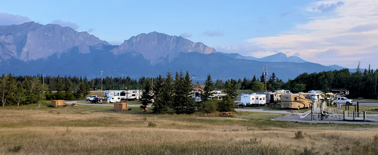 Willow Rock Campsite 