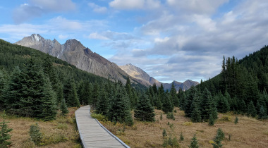 Highwood Meadows Trail 