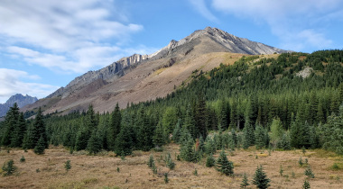 Highwood Meadow Trail