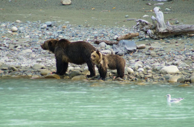 Whistler & Bella Coola in BC