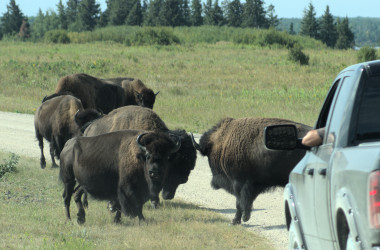 Riding Mountain Park, Manitoba