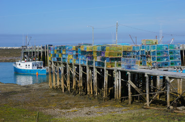 The amazing Maritimes