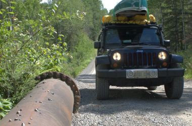 Wald, Natur undWildnis in Kanada