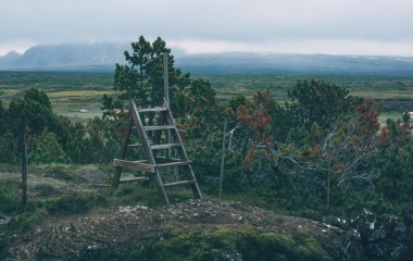 Ladder over fence 