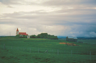 Turf House 