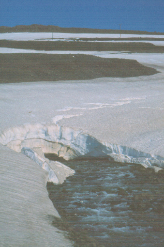 Glacier in Iceland in 1981 