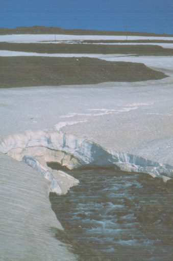 Glacier in Iceland in 1981 
