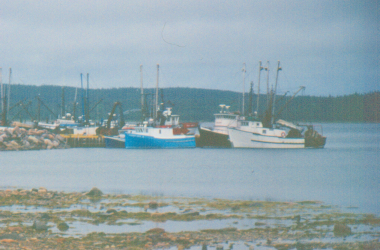 Ships in the harbour 