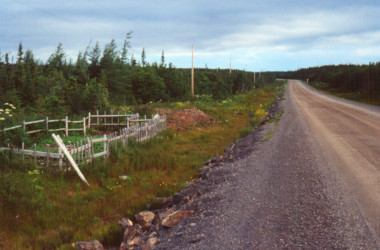 Garden along the road 