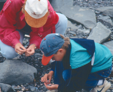 Treasure Hunt in Newfoundland 1992 