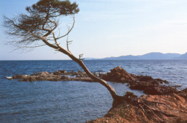 Somewhere in Corsica 1983
