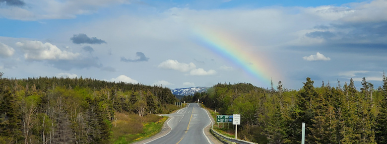 outsdie Rocky Harbour