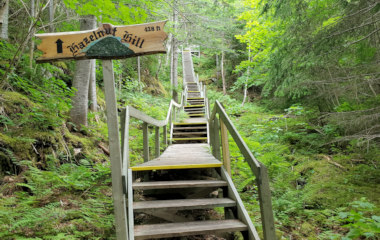 Hazelnut Hill trail 