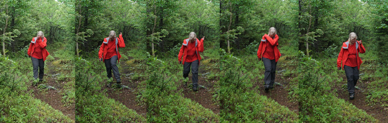 Beothuk Hiking Trail