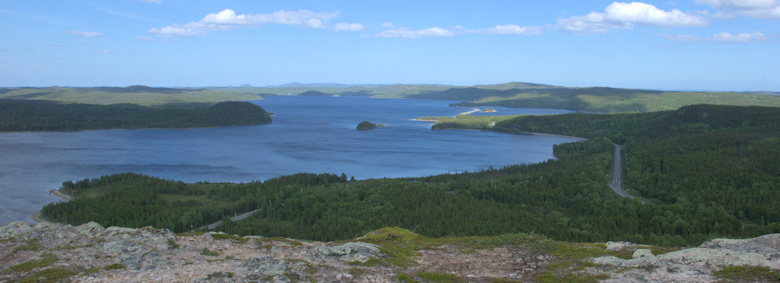 Mill Cove Lookout