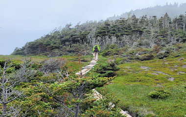 Skerwink Trail