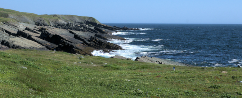 Mistaken Point Ecological Reserve