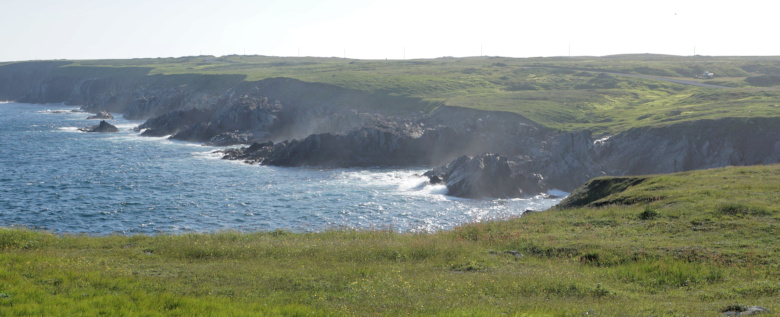 Cape Race