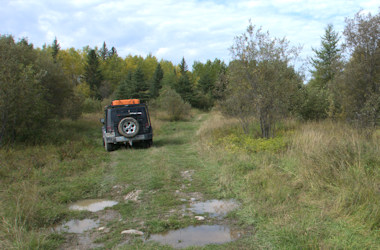 Meadow near Rock Island Rapids 