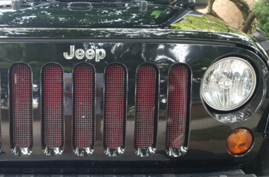 Mesh Grille to protect radiator