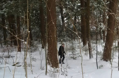 Huntsville & Algonquin Park in Januar