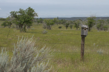 Saskatchewan Landing