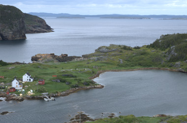 Terra Nova & Damnable Trail